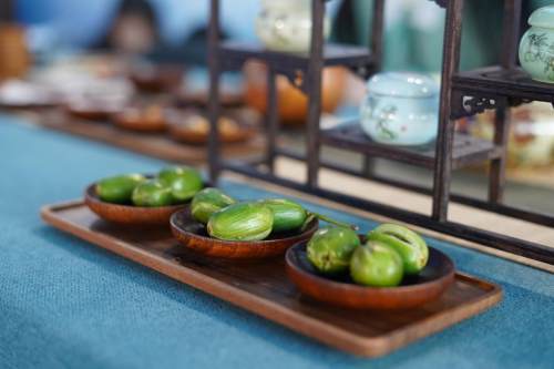 绍兴正式对外发布“稽山古榧”区域公共品牌