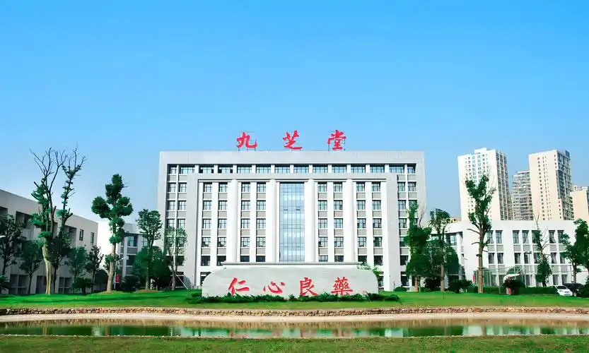 业绩阵痛的“老字号”九芝堂：传统核心产品全线失速